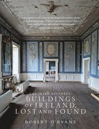bokomslag The Irish Aesthete: Buildings of Ireland, Lost and Found