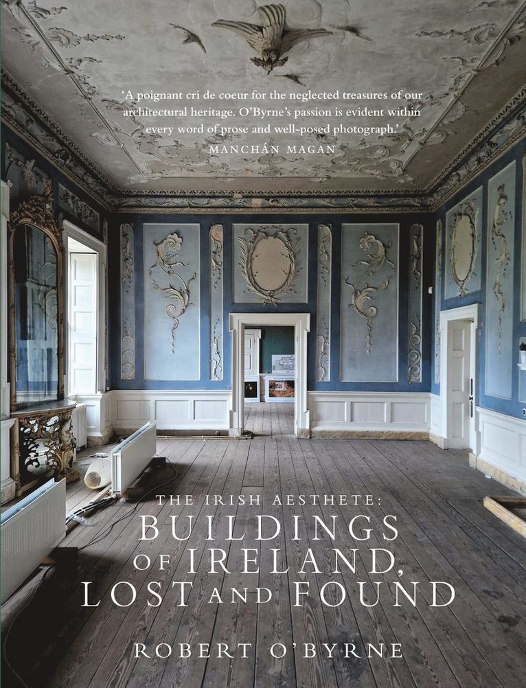 Irish Aesthete: Buildings of Ireland, Lost and Found