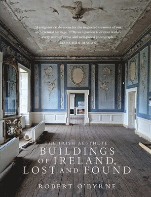 The Irish Aesthete: Buildings of Ireland, Lost and Found 1