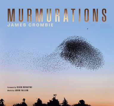 bokomslag Murmurations