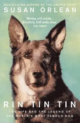 Susan Orlean - Rin Tin Tin, Häftad
