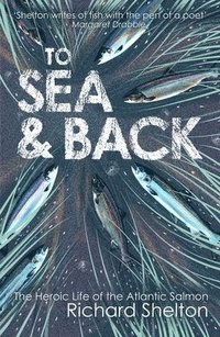 bokomslag To Sea and Back