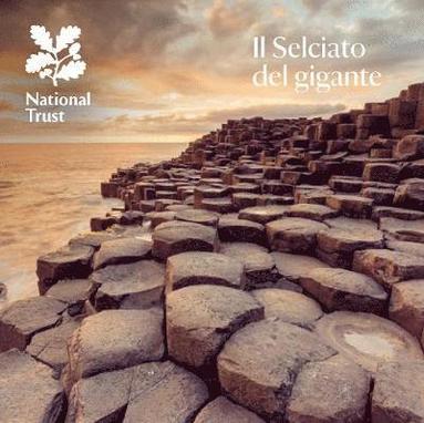 bokomslag Giant's Causeway - Italian