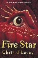 bokomslag The Last Dragon Chronicles: Fire Star