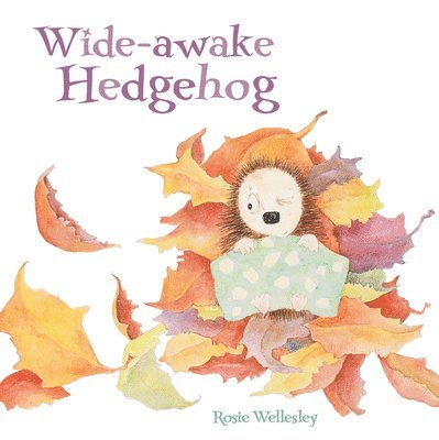 Wide-awake Hedgehog 1