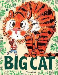 bokomslag Big Cat