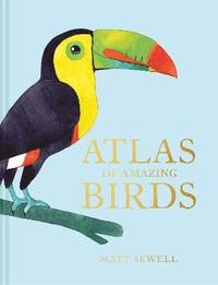 bokomslag Atlas of Amazing Birds