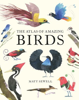 bokomslag Atlas of Amazing Birds