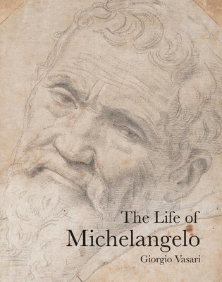 bokomslag The Life of Michelangelo