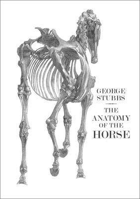 The Anatomy of the Horse 1