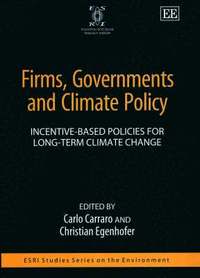 bokomslag Firms, Governments and Climate Policy