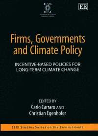 bokomslag Firms, Governments and Climate Policy