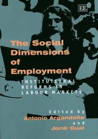 bokomslag The Social Dimensions of Employment