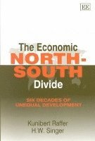 bokomslag The Economic NorthSouth Divide