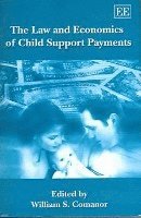 bokomslag The Law and Economics of Child Support Payments