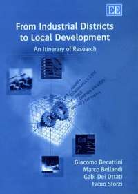 bokomslag From Industrial Districts to Local Development