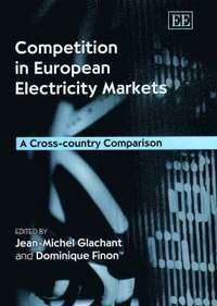 bokomslag Competition in European Electricity Markets