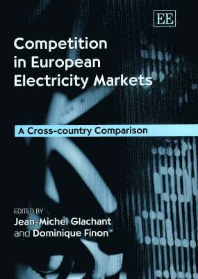 Competition in European Electricity Markets 1