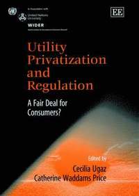 bokomslag Utility Privatization and Regulation