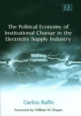 Carlos Rufín - Political Economy of Institutional Change in the Electricity Supply Industry, Inbunden