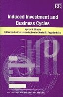 Hyman P. Minsky, Dimitri B. Papadimitriou - Induced Investment and Business Cycles, Inbunden