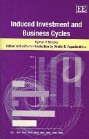 Induced Investment and Business Cycles 1