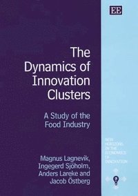 bokomslag The Dynamics of Innovation Clusters