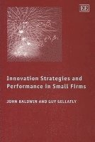 bokomslag Innovation Strategies and Performance in Small Firms