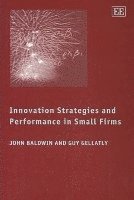 Innovation Strategies and Performance in Small Firms 1