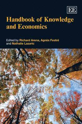 bokomslag Handbook of Knowledge and Economics
