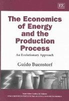 bokomslag The Economics of Energy and the Production Process