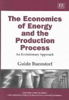 bokomslag Economics of Energy and the Production Process