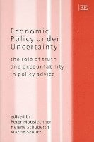 bokomslag Economic Policy under Uncertainty