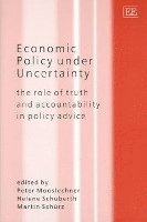 Economic Policy under Uncertainty