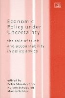 Economic Policy under Uncertainty 1