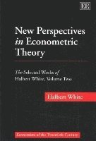 bokomslag New Perspectives in Econometric Theory
