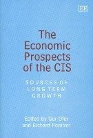 bokomslag The Economic Prospects of the CIS
