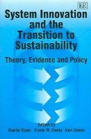 Boelie Elzen, Frank W. Geels, Ken Green - System Innovation and the Transition to Sustainability, Inbunden