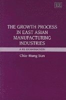 bokomslag The Growth Process in East Asian Manufacturing Industries