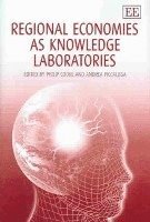 Philip Cooke, Andrea Piccaluga - Regional Economies as Knowledge Laboratories, Inbunden