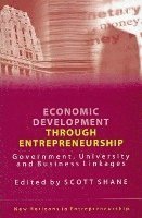 bokomslag Economic Development Through Entrepreneurship