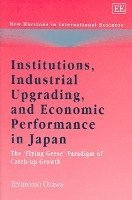 bokomslag Institutions, Industrial Upgrading, and Economic Performance in Japan