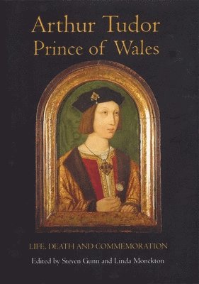 Arthur Tudor, Prince of Wales 1