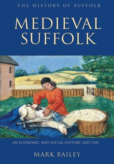 bokomslag Medieval Suffolk: An Economic and Social History, 1200-1500