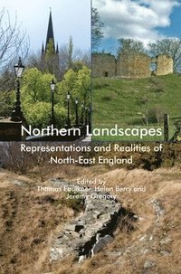 bokomslag Northern Landscapes