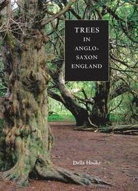 bokomslag Trees in Anglo-Saxon England: 13