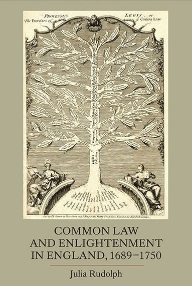 bokomslag Common Law and Enlightenment in England, 1689-1750