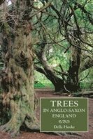 bokomslag Trees in Anglo-Saxon England