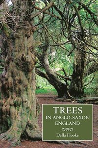 bokomslag Trees in Anglo-Saxon England