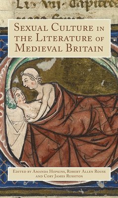 Amanda Hopkins, Robert Rouse, Cory James Rushton, Robert (Customer) Rouse, Cory James (Customer) Rushton, Robert Allen Rouse - Sexual Culture in the Literature of Medieval Britain, Inbunden